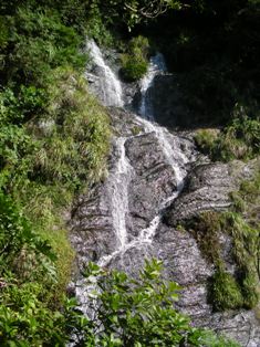 f0164003_1265229.jpg