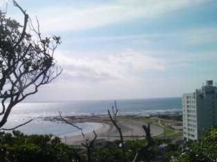 f0164003_1285295.jpg