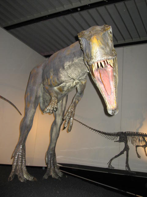 a0100706_22522972.jpg