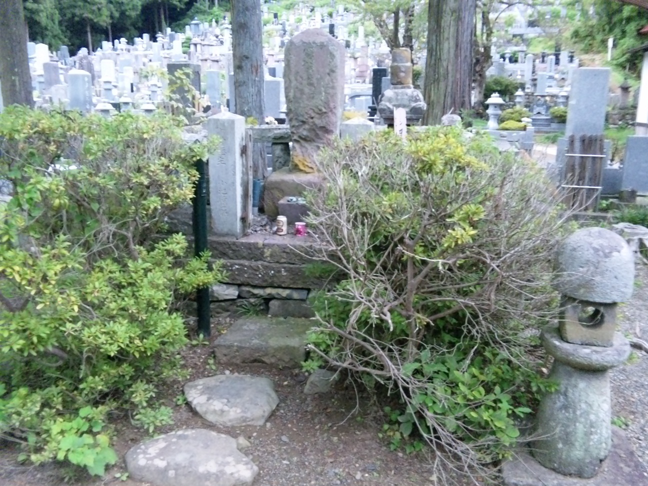 c0003409_208246.jpg