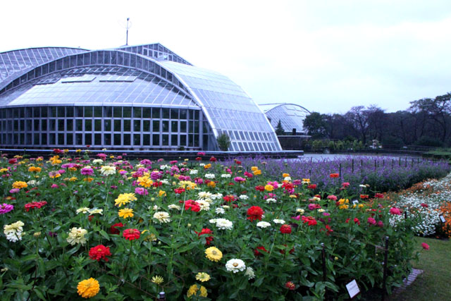 植物園の花3_e0048413_17304060.jpg