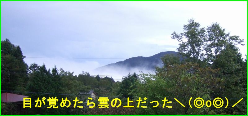 c0004734_2247595.jpg