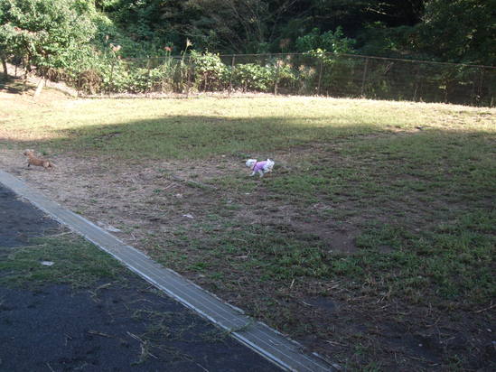e0191034_21305877.jpg