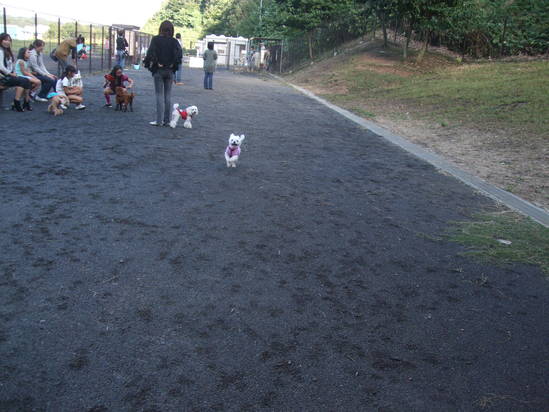 e0191034_21374938.jpg