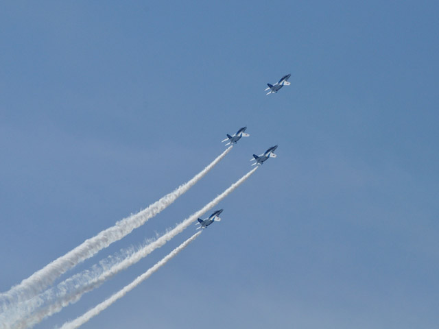 d0172537_1152261.jpg