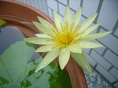 c0180341_17492874.jpg