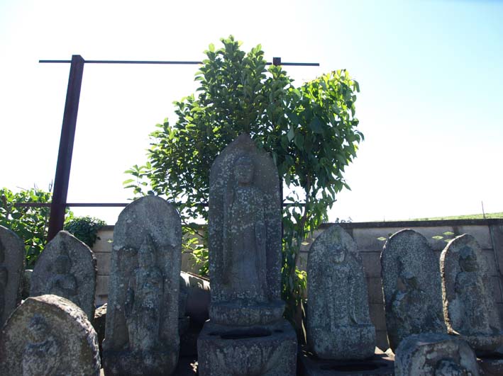 d0149245_21335386.jpg