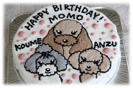 Happy birthday MOMO♪_a0117655_14375388.jpg