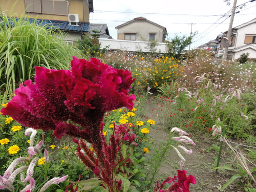 c0108460_19345399.jpg