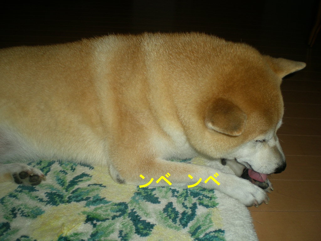2010年10月10日(日)閑中、忙あり?_f0060461_10411243.jpg