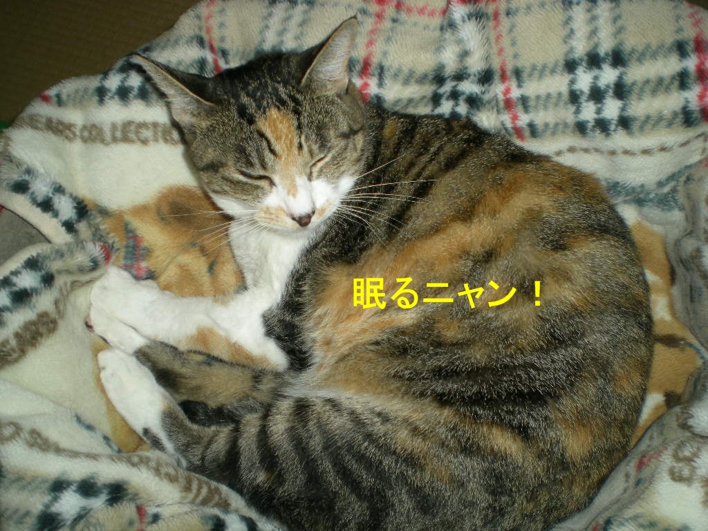 2010年10月10日(日)閑中、忙あり?_f0060461_10443986.jpg