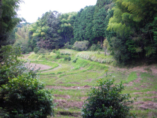 小野（おの）（滋賀県）散歩写真_c0191967_1951355.jpg