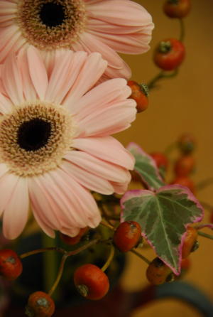 蚊_b0016474_18385132.jpg