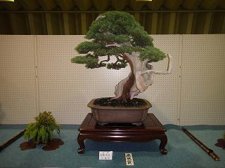 第25回「県風展」初日_b0092684_10221367.jpg