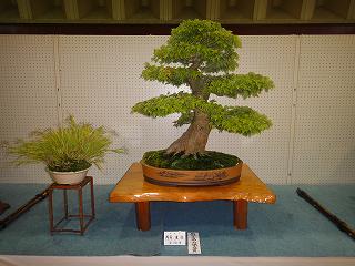 第25回「県風展」初日_b0092684_1036515.jpg