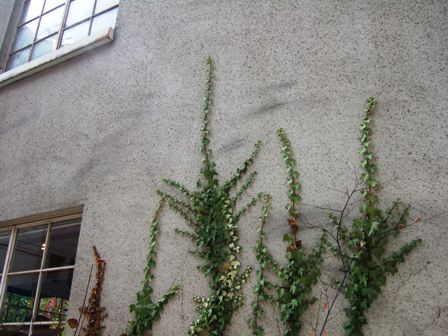 f0207585_111421.jpg