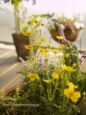 a0150193_10332966.gif