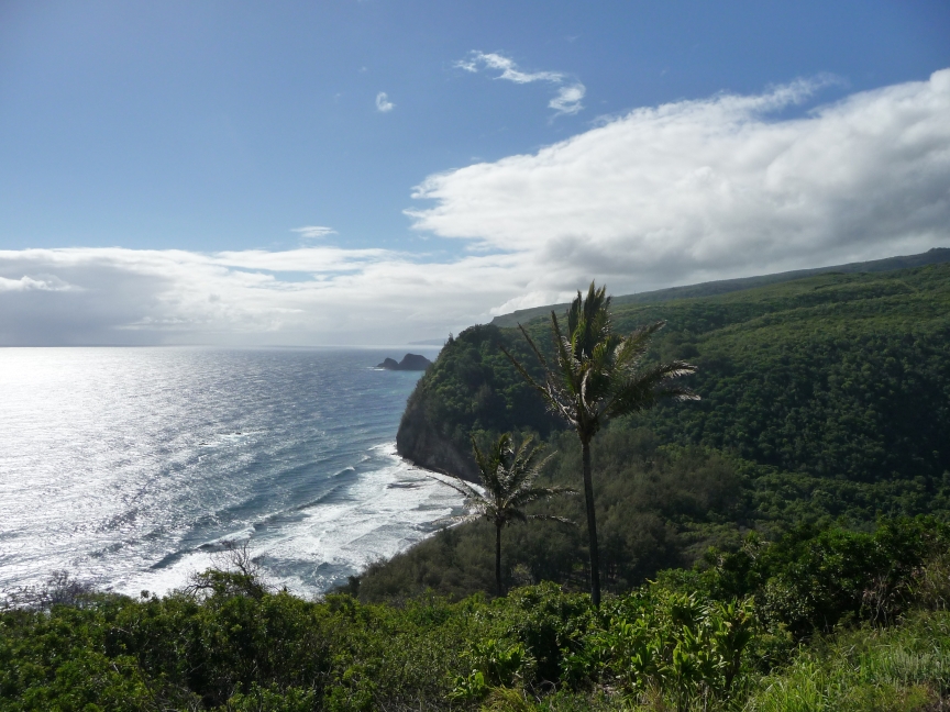 Hawaii ５日目　～ハワイ島ツアーに出発　ポロル渓谷～_c0167798_2110999.jpg