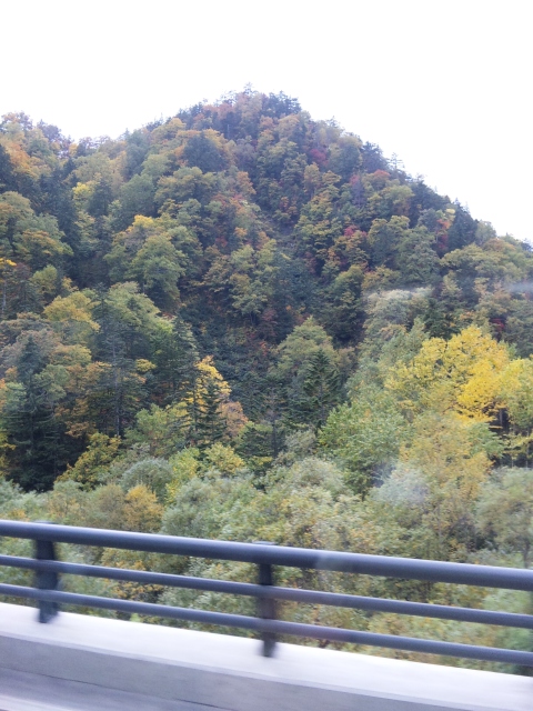 f0162101_14505265.jpg