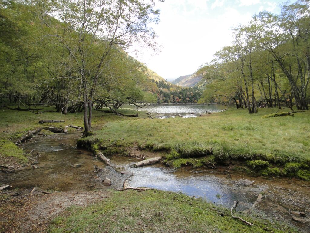 b0172805_10105899.jpg