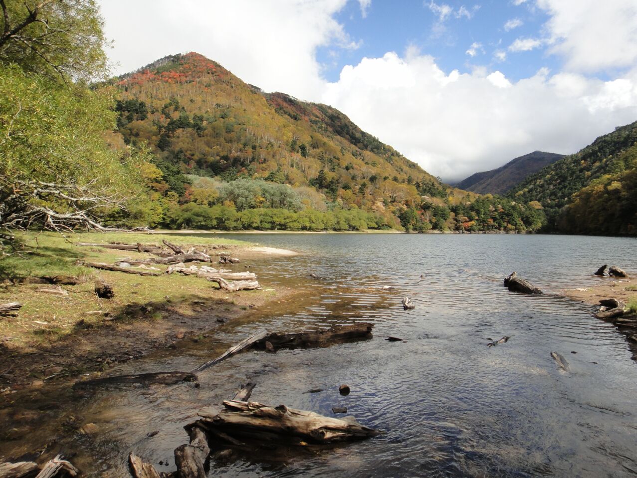b0172805_10112384.jpg