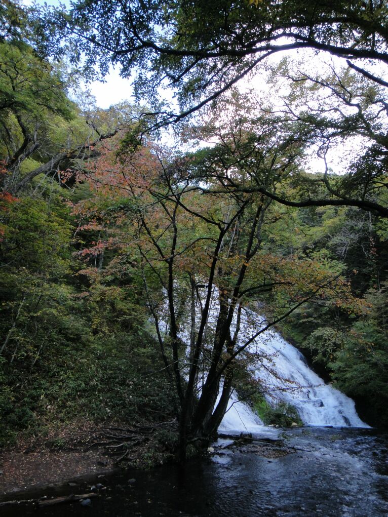 b0172805_10132147.jpg
