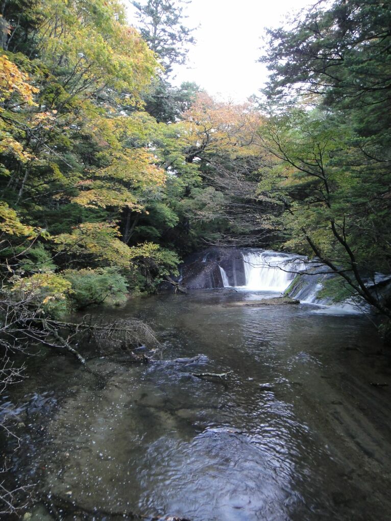 b0172805_10142426.jpg