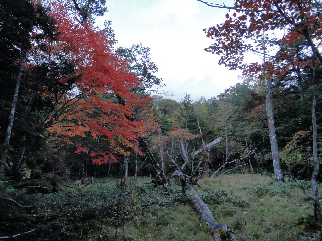 b0172805_106469.jpg