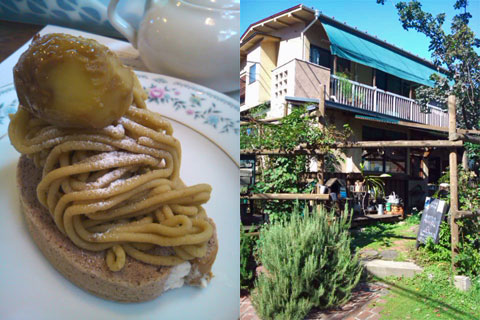 a0000006_0554910.jpg