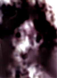 e0103408_16325477.gif