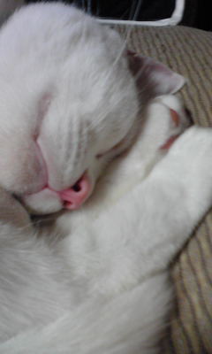 c0180209_2315585.jpg