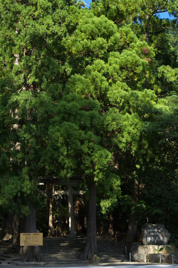 紀伊半島の南へ 『⑥飛瀧神社・那智滝』_f0221510_8192512.jpg