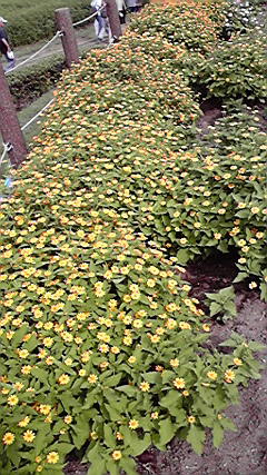 d0110022_23341954.jpg