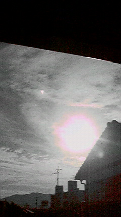 d0110022_23341964.jpg