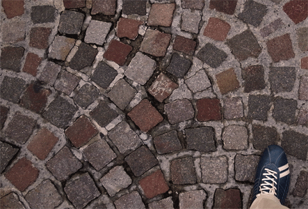 e0205625_0514112.gif