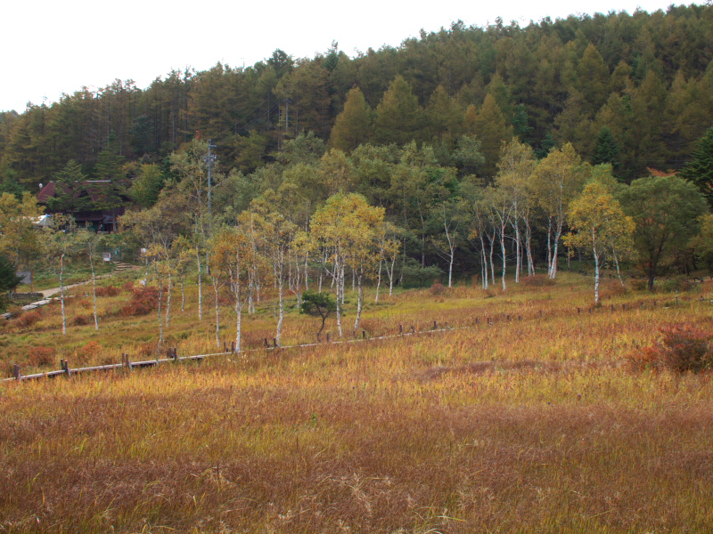 d0125535_19513659.jpg