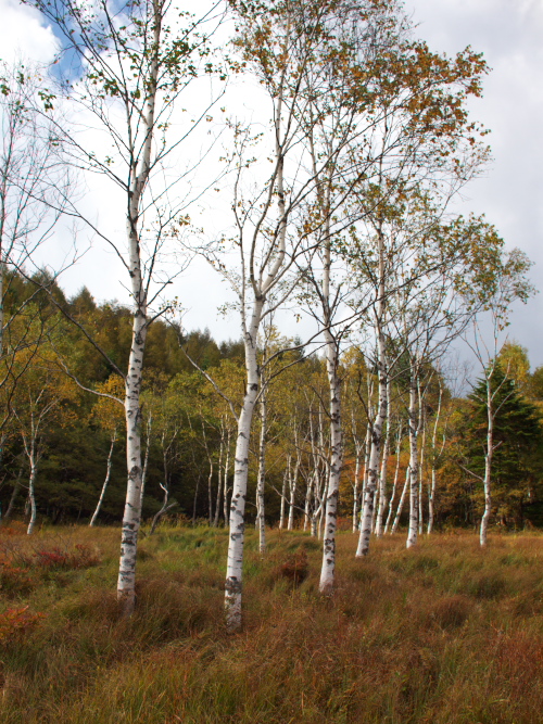 d0125535_19553157.jpg