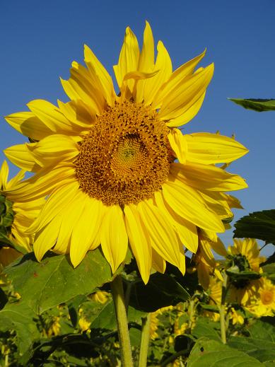 b0127538_032825.jpg