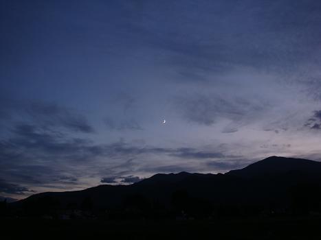 a0014840_2315882.jpg