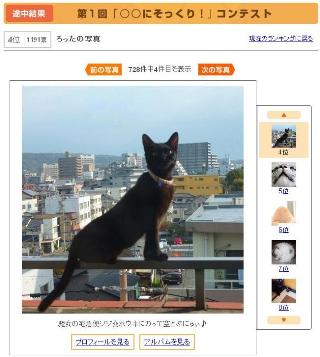 ここほれにゃいにゃい猫 のぇるろった編。_a0143140_22414499.jpg