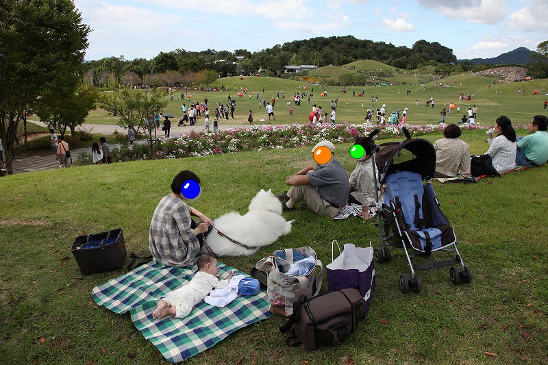 香川まんのう公園♪　_f0172840_09133.jpg