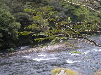 b0207341_16393411.jpg