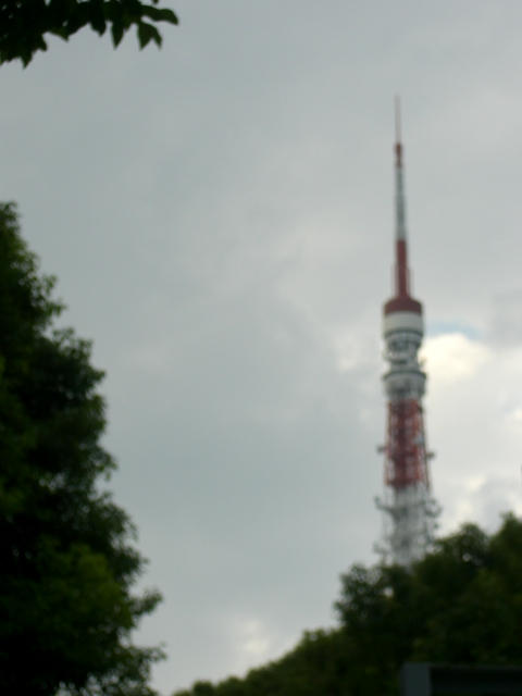 b0049549_20363793.jpg