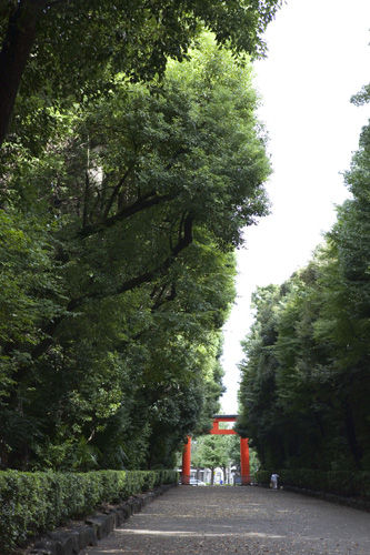 c0092152_42171.jpg