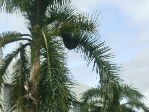 b0202356_10423251.jpg