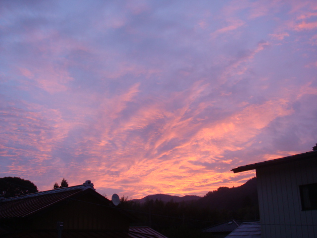 c0074157_2014792.jpg