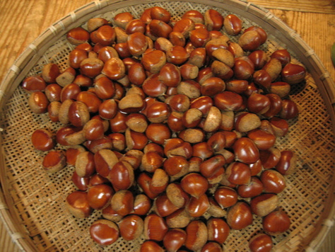 栗_a0157159_6451453.jpg