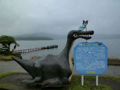 b0137459_21514121.jpg