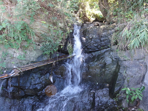 c0108460_16173637.jpg