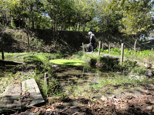 ビオトープの水漏れ補修作業_c0108460_1619744.jpg